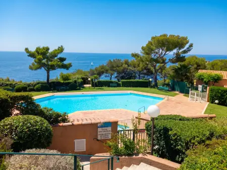 Appartement vue mer, piscine partagée, Saint-Mandrier-sur-Mer : photo 8