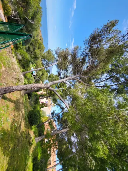 Appartement vue mer, piscine partagée, Saint-Mandrier-sur-Mer : photo 16