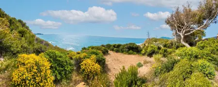 Appartement vue mer, piscine partagée, Saint-Mandrier-sur-Mer : photo 17