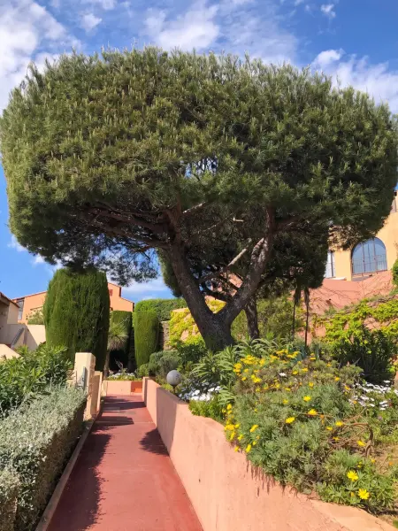 Appartement vue mer, piscine partagée, Saint-Mandrier-sur-Mer : photo 19
