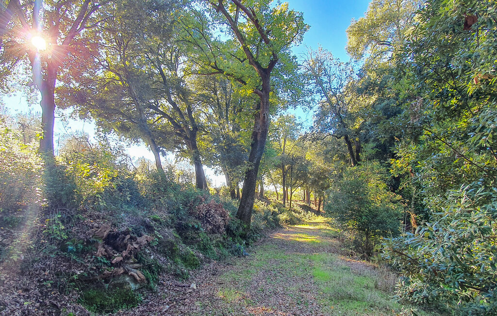 Loggetta, Maison 4 personnes à Pergine Valdarno - Photo 35
