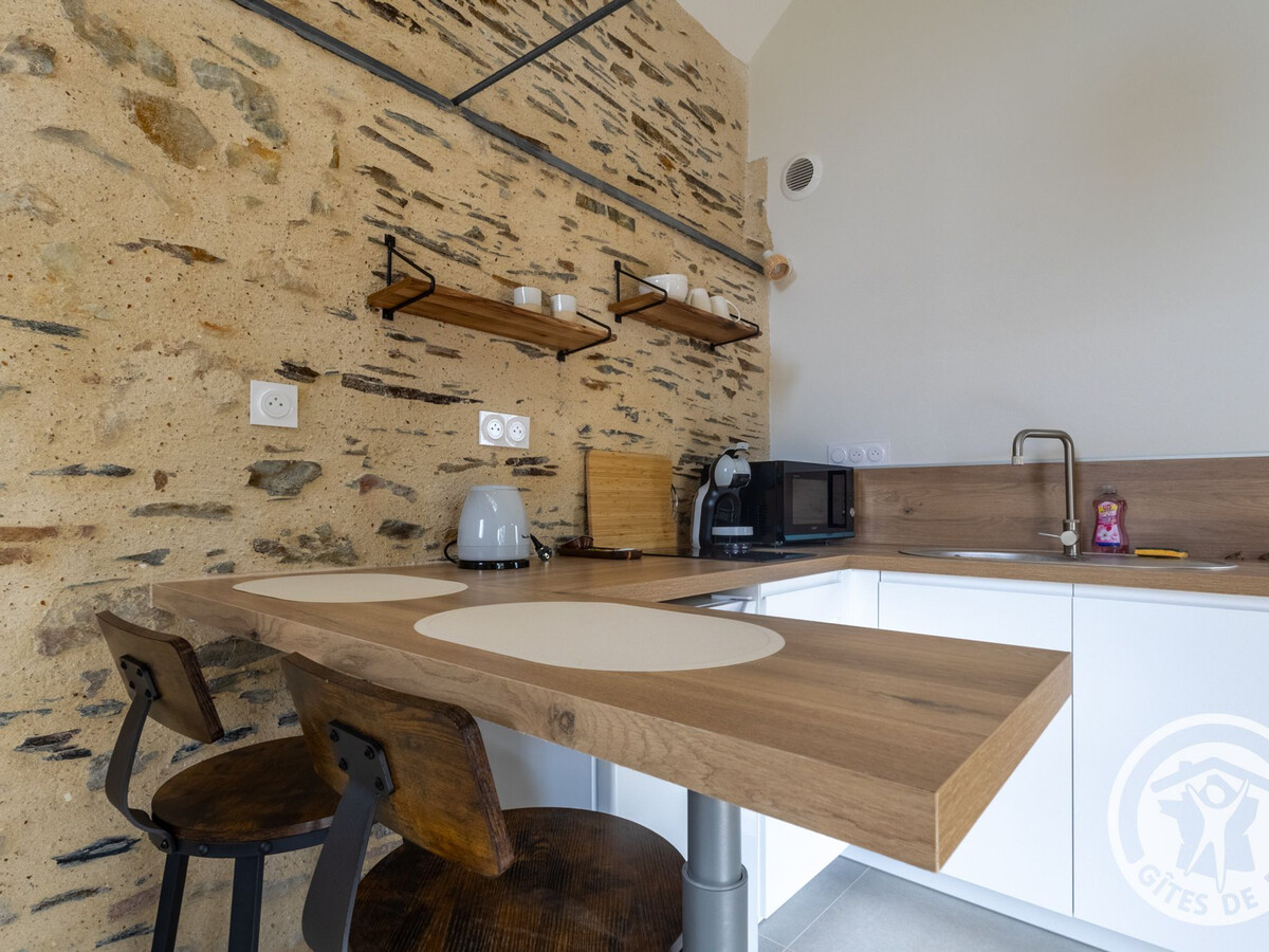 Studio climatisé 23 m² avec terrasse à Chenillé-Champteussé - Photo 5