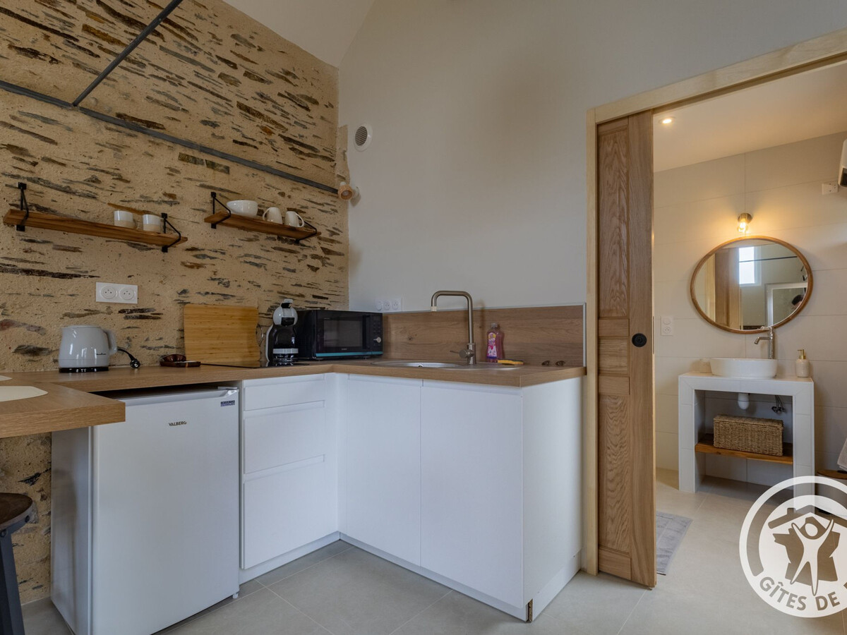 Studio climatisé 23 m² avec terrasse à Chenillé-Champteussé - Photo 7