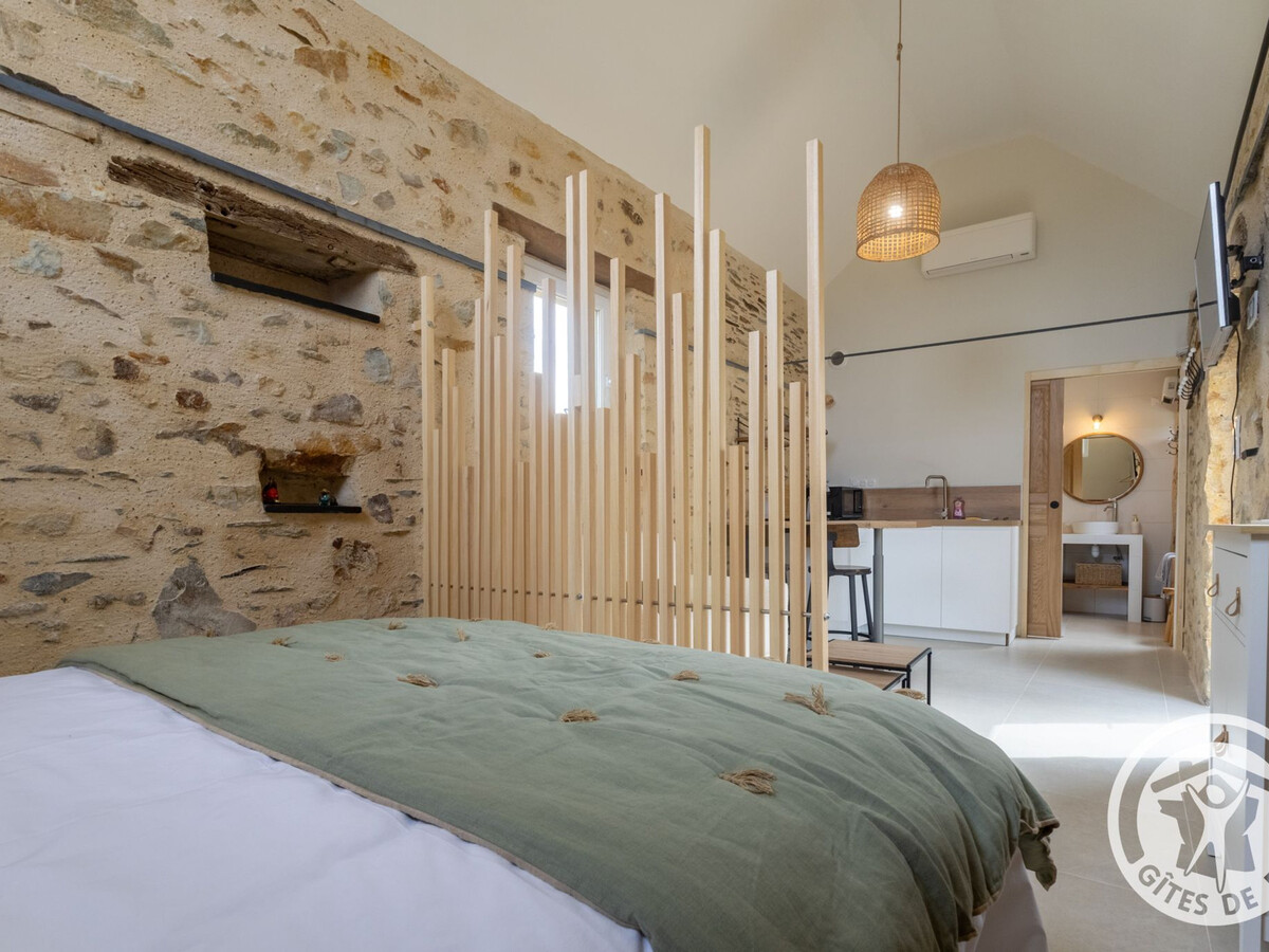 Studio climatisé 23 m² avec terrasse à Chenillé-Champteussé - Photo 11