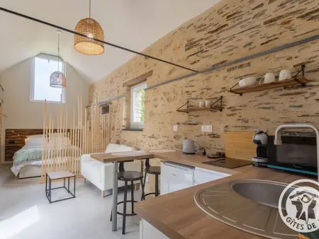 Location gite à Chenillé Champteussé, Studio climatisé, village paisible