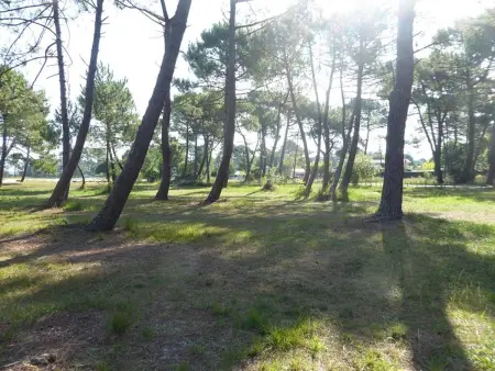 Appartement 4 pers. à 10 min de l'océan, Biscarrosse : photo 13