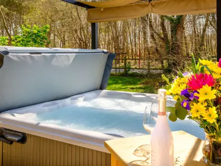 Chalet bois avec jacuzzi et terrain de pétanque à Gastes : photo 3
