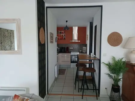Appartement T3 centre-ville Biscarrosse avec terrasse : photo 6