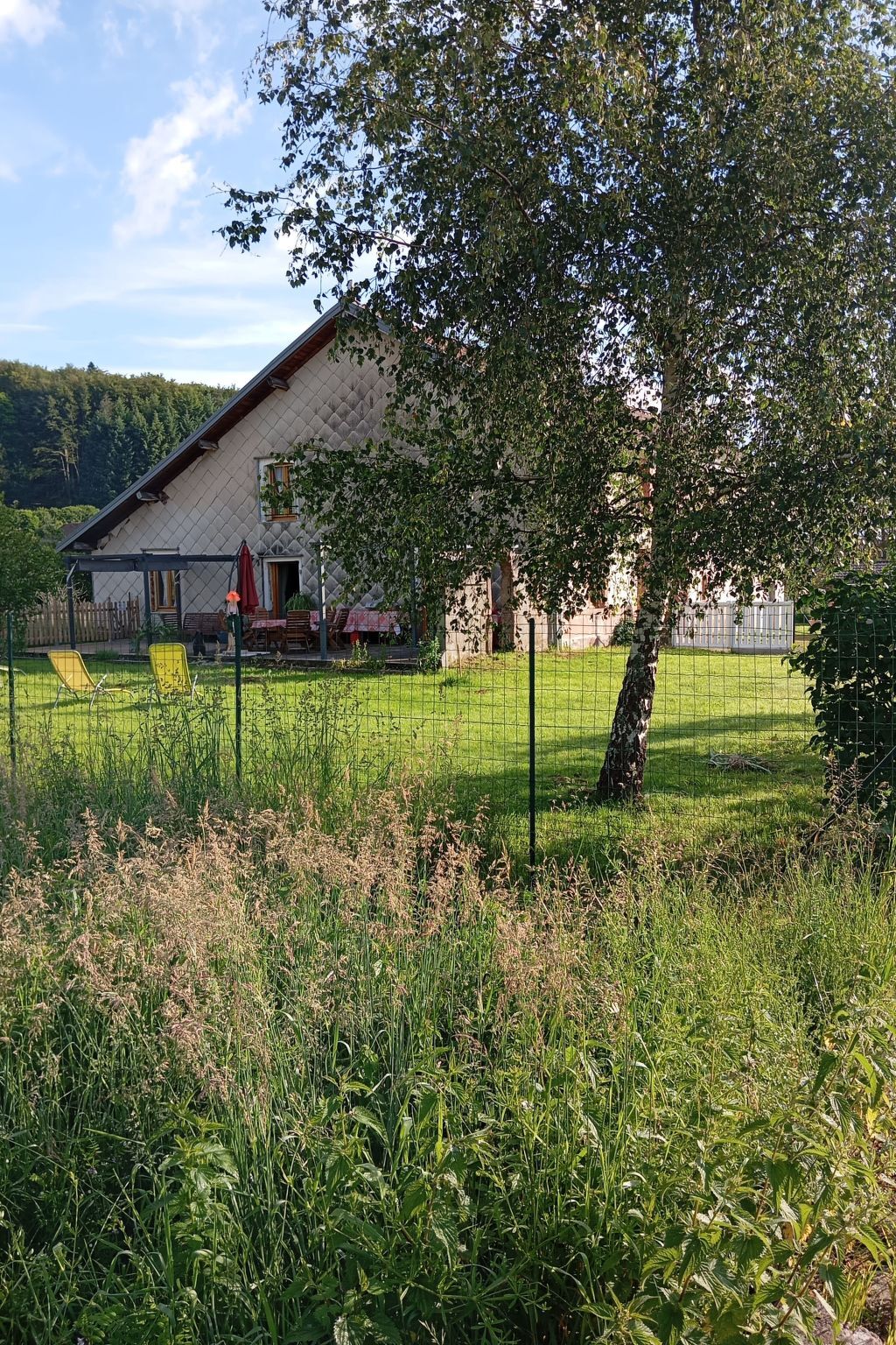 Le Stadl Vosges – Ferme 12 pers., chiens acceptés - Photo 17