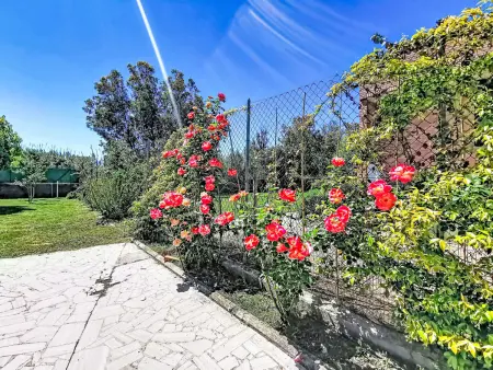 Villa Villaggio Giornalisti 21 à 500 m de la mer : photo 11