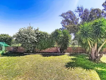 Villa Villaggio Giornalisti 21 à 500 m de la mer : photo 12