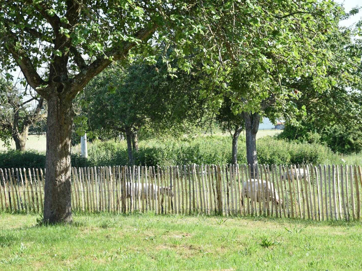 Gîte plain-pied face à l'estuaire, baie du Mt-St-Michel - Photo 2