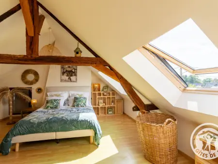 Maison 60 m² à 1 km de la Loire, animaux admis : photo 4