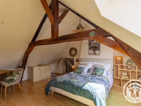 Maison 60 m² à 1 km de la Loire, animaux admis : photo 17