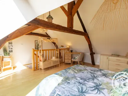 Maison 60 m² à 1 km de la Loire, animaux admis : photo 20