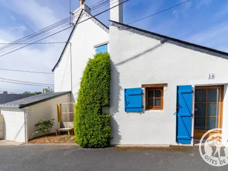 Maison 60 m² à 1 km de la Loire, animaux admis : photo 26