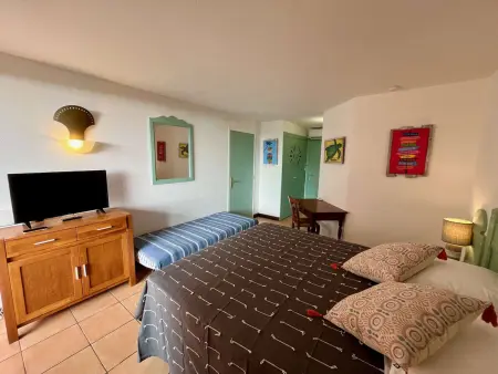 Studio climatisé Anse Caritan, accès plage - 2 pers. : photo 8