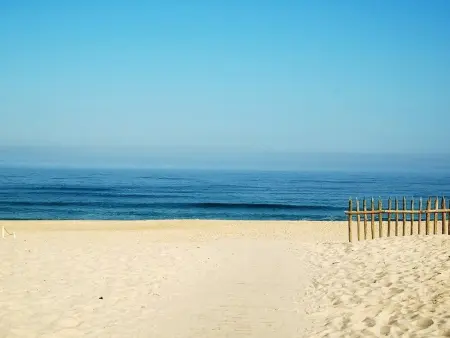 Duplex lumineux à 100m de la plage - Biscarrosse : photo 18