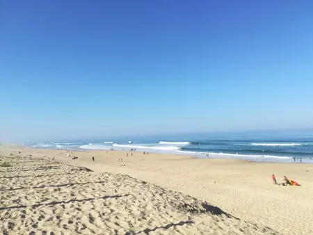 Duplex lumineux à 100m de la plage - Biscarrosse : photo 25