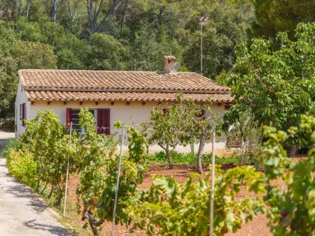 Ullastro Pollença, Maison 8 personnes à Pollença - Photo 34