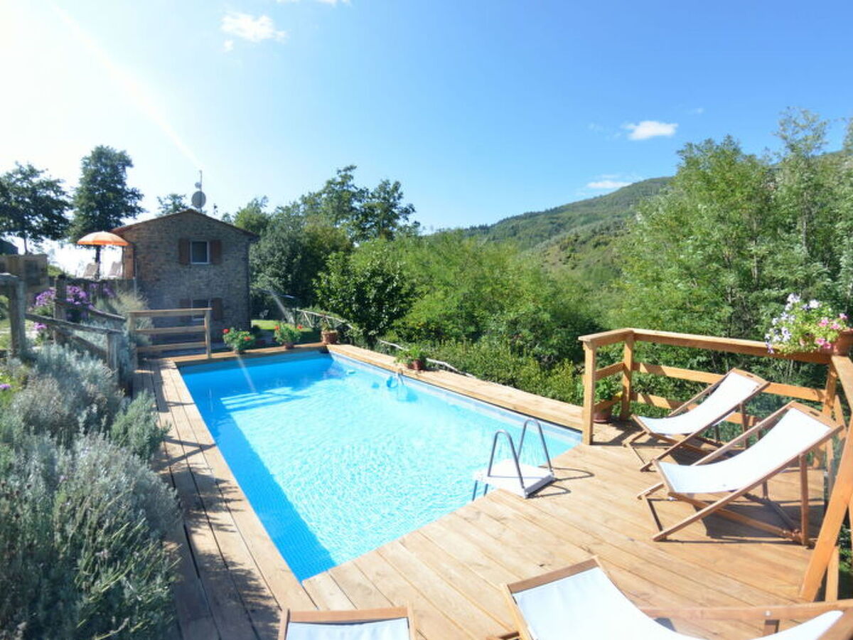 Maison Anfora – 2 chambres, piscine et parc de 2,5 ha à Pescia - Photo 2