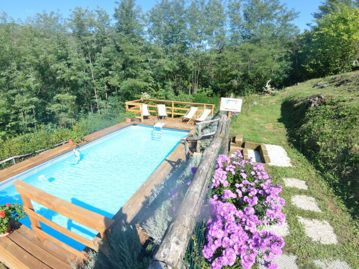 Maison Anfora – 2 chambres, piscine et parc de 2,5 ha à Pescia - Photo 12