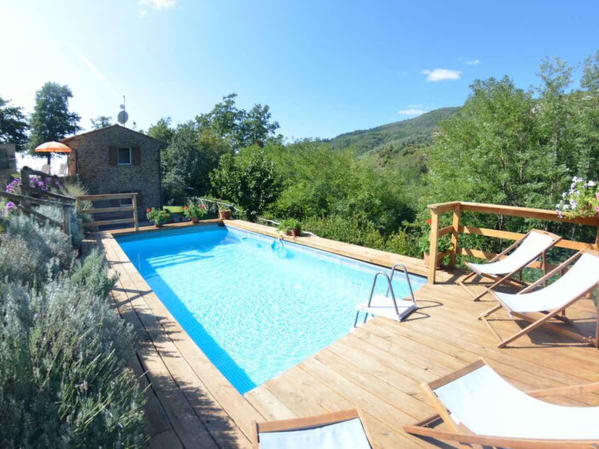 Maison Anfora – 2 chambres, piscine et parc de 2,5 ha à Pescia - Photo 15
