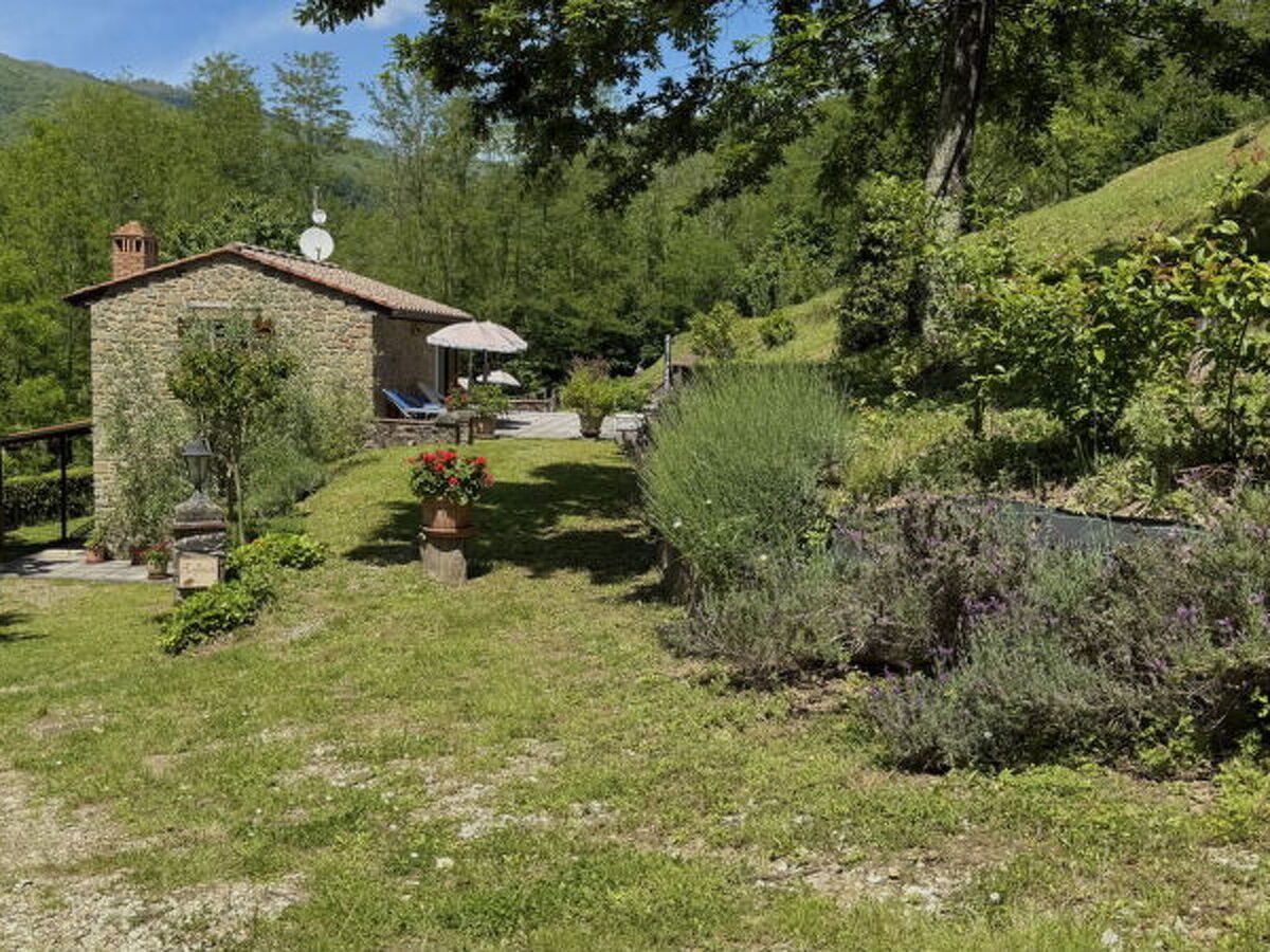 Maison Anfora – 2 chambres, piscine et parc de 2,5 ha à Pescia - Photo 23