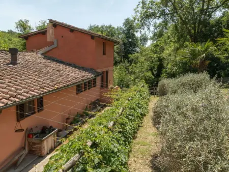 Podere Il Doccio – Maison toscane 10 pers., piscine - Photo 19
