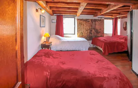 Wood loft Saint-Félicien, 6 personnes, poutres apparentes : photo 12