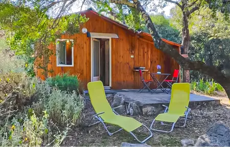 Chalet bois Cévennes avec piscine partagée : photo 2