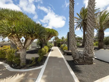 Appartement 60 m² dans enclave artistique San Bartolomé : photo 12