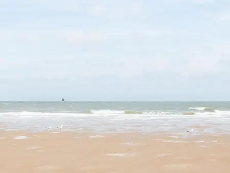 Appartement avec garage privatif à 200 m de la plage, Ostende : photo 47