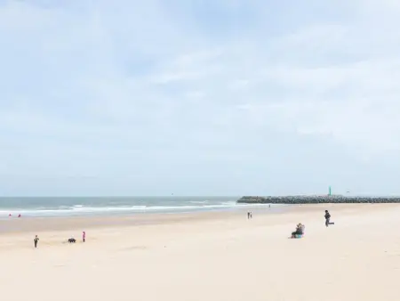 Appartement avec garage privatif à 200 m de la plage, Ostende : photo 55