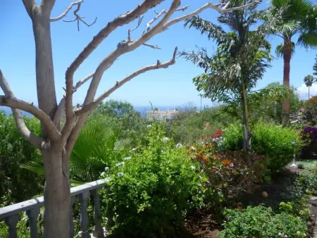 Maison avec piscine et vue mer à Chayofa : photo 7