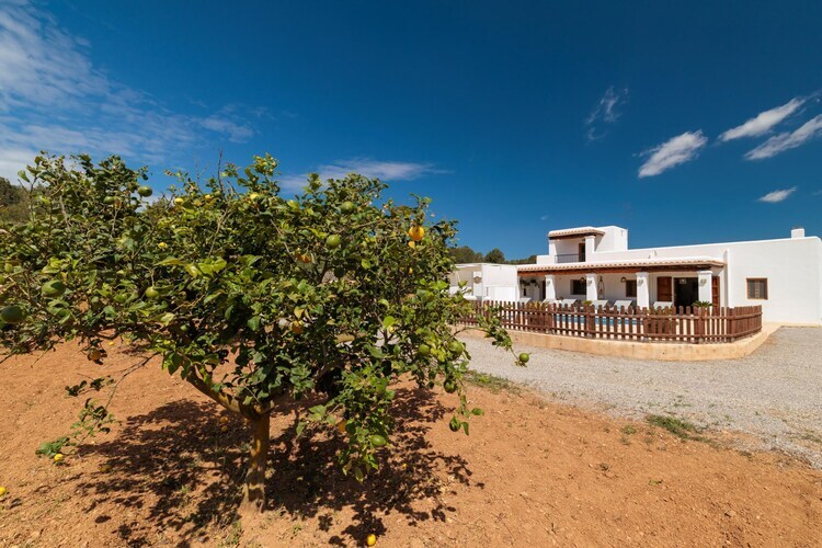 Casa Cala Llonga – Villa 6 pers. dans une orangeraie - Photo 42