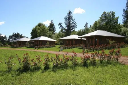 Le Domaine des Monédières - Chalet PMR 6 personnes : photo 8