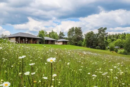 Le Domaine des Monédières - Chalet PMR 6 personnes : photo 33