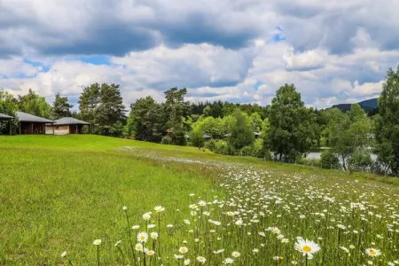 Le Domaine des Monédières - Chalet PMR 6 personnes : photo 35