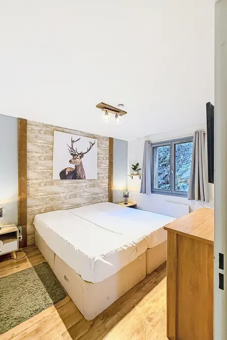 Appartement Les Hauts des Brevières, vue lac à Tignes : photo 3