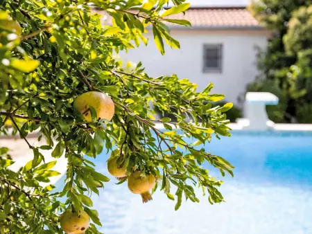 Casa Sole : maison 6 pers. piscine chauffée à Bokordici : photo 15