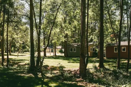 Chalet 6 pers. au bord du lac à Moncontour : photo 13