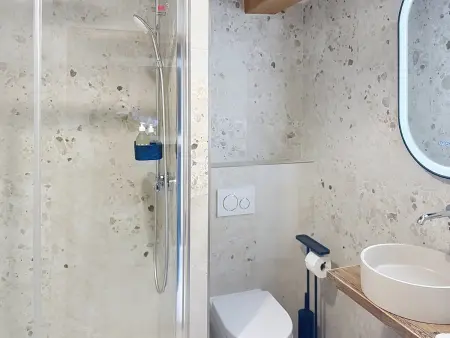 Appartement 5 chambres vue Mont Pourri - 10 pers. : photo 13