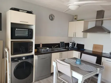 Appartement face mer avec terrasse, clim et parking : photo 7