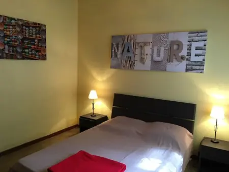 Maison avec piscine, animaux admis - 11 pers., Villa 13 personnes à Vielle Saint Girons - Photo 7