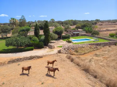 Gîte rural 6 pers. piscine privée à Santa Margalida : photo 23