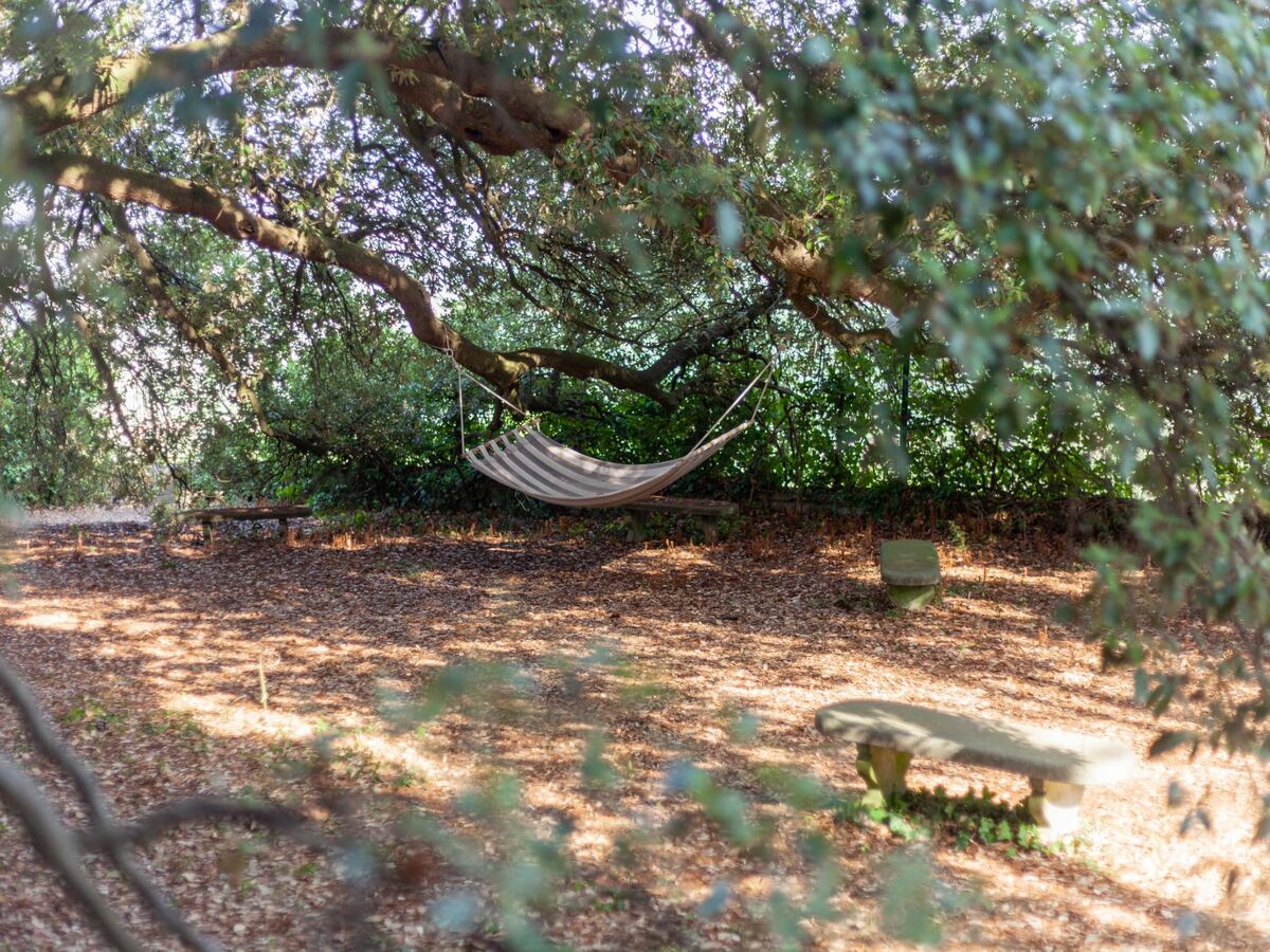 Villa Leonardo da Fornia – 12 pers., piscine, Carmignano - Photo 24