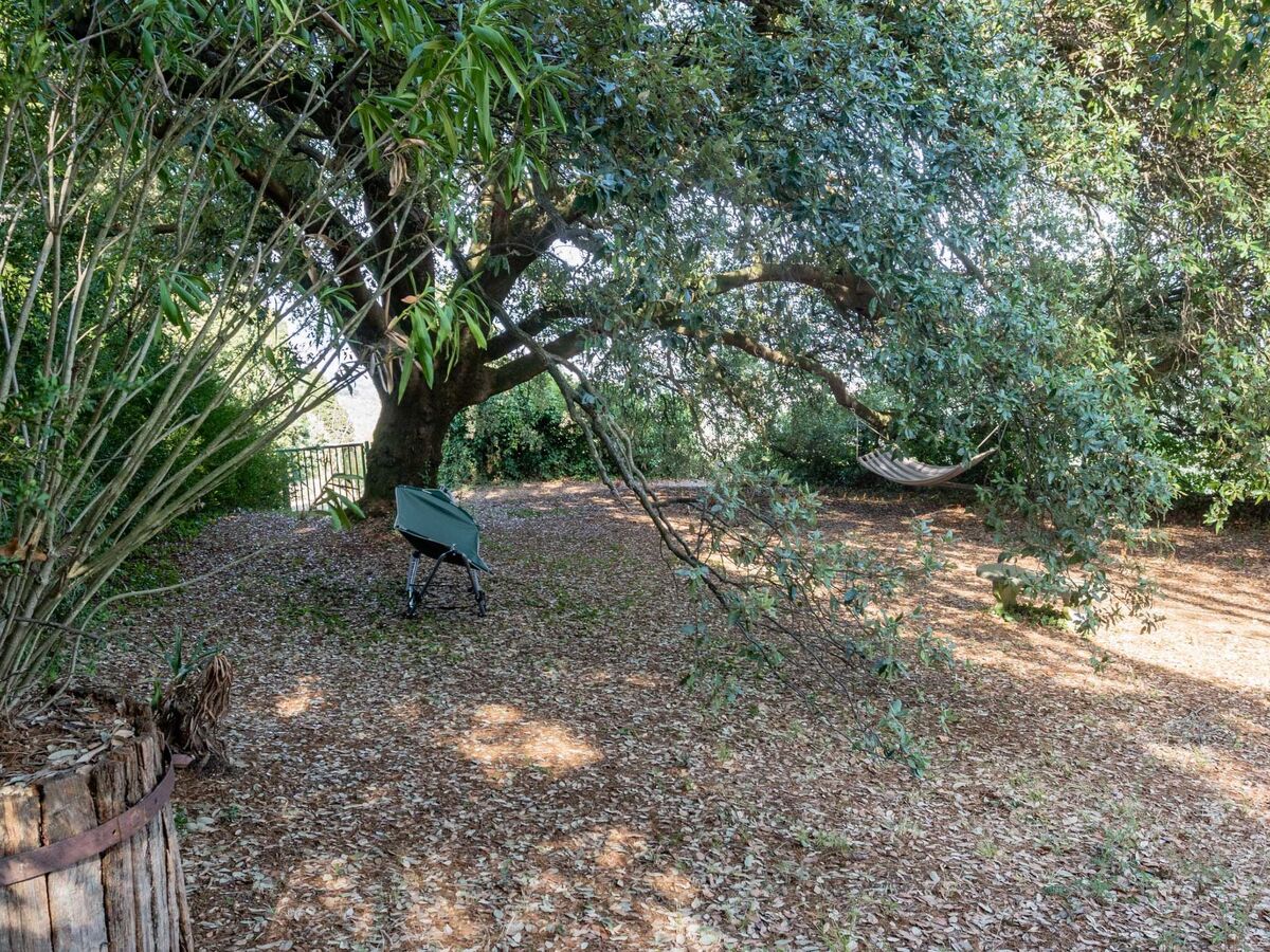 Villa Leonardo da Fornia – 12 pers., piscine, Carmignano - Photo 25