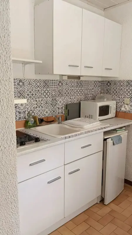 Location appartement à Amélie les Bains Palalda, Studio agréable à Amélie-les-Bains-Palalda, 20 m² avec terrasse