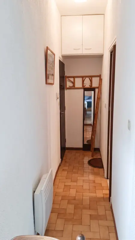 Studio 20 m² avec terrasse commune à Amélie-les-Bains-Palalda : photo 4